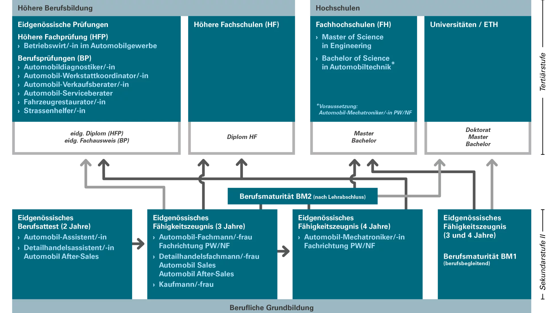 Graphique sur la formation dans le secteur automobile. Parcours de formation, de la formation initiale &agrave; la formation continue.